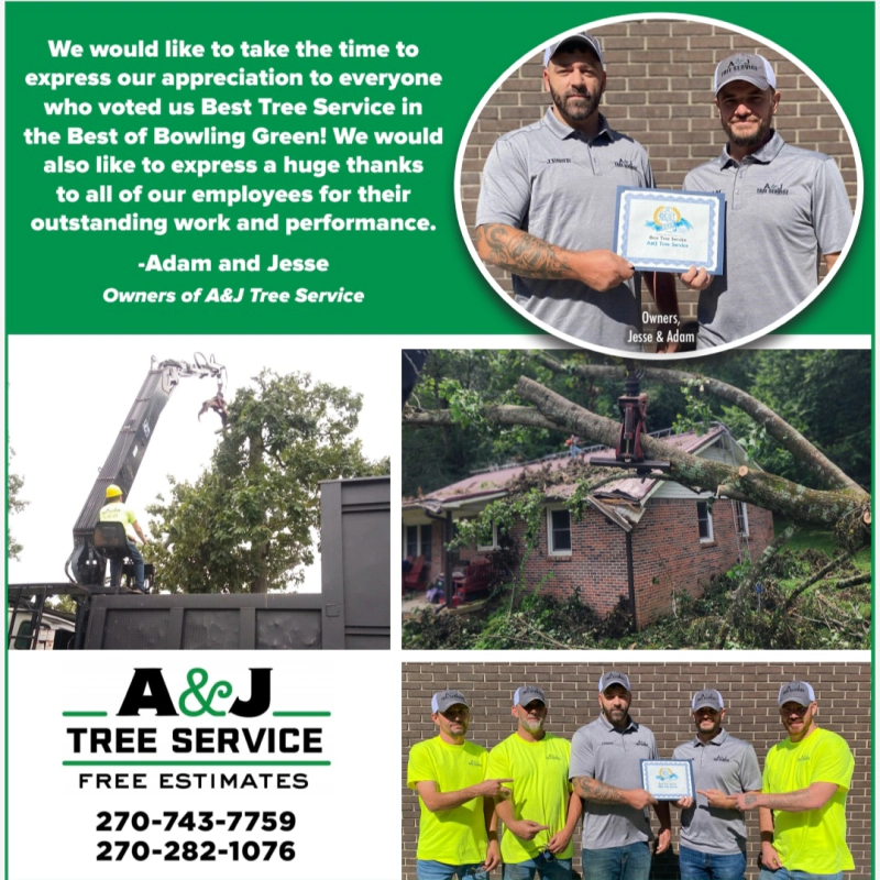 tree services 3