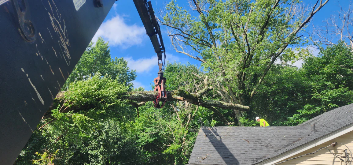 service breadcrumb 1