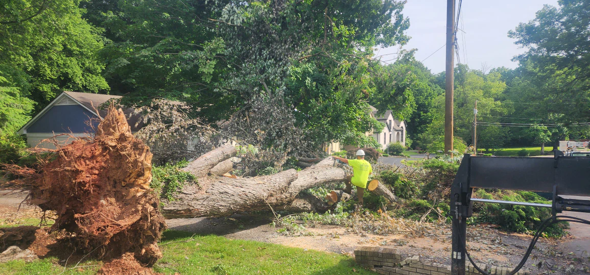 service breadcrumb 2