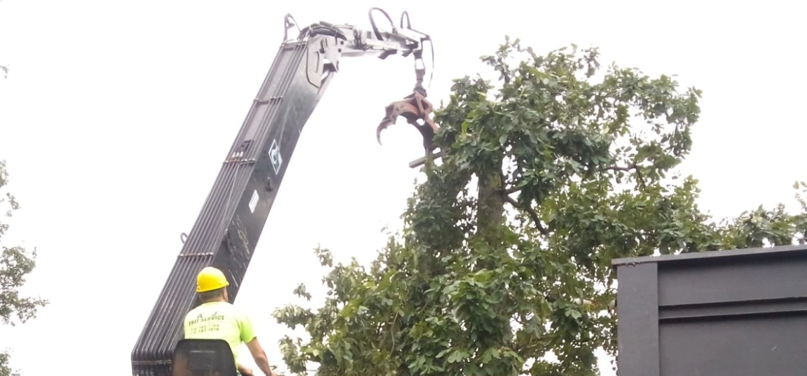 service breadcrumb 3