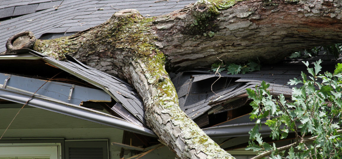 service breadcrumb 6