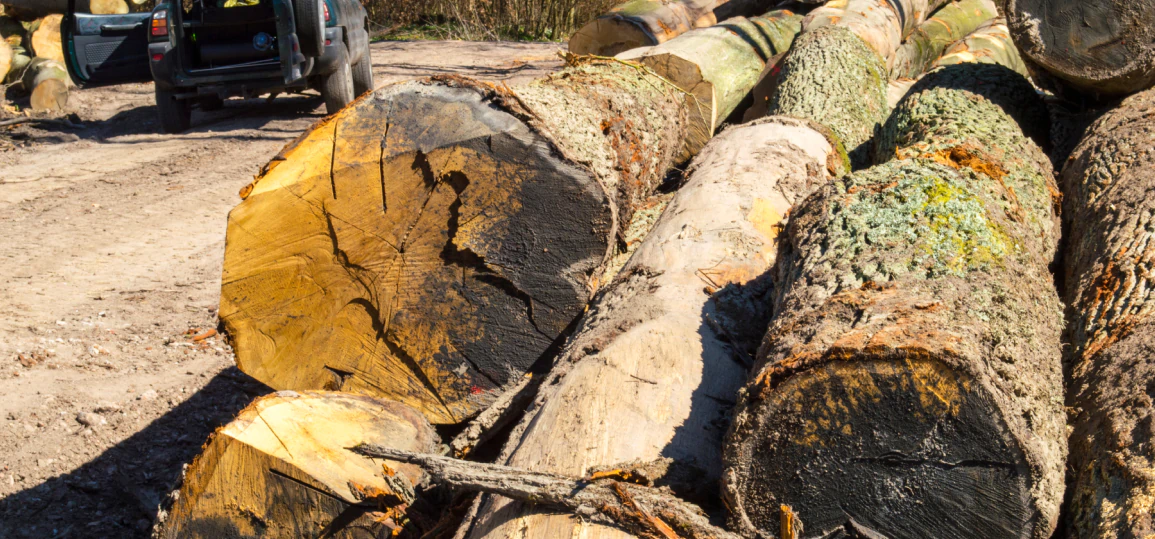 service breadcrumb 8