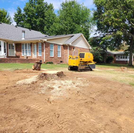 stump grinding service scottsville ky