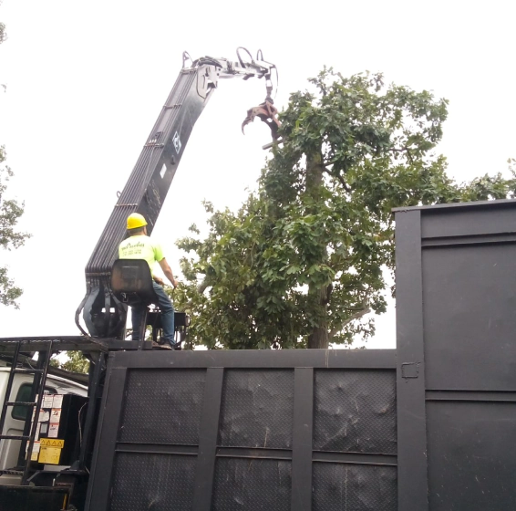 tree trimming service scottsville ky
